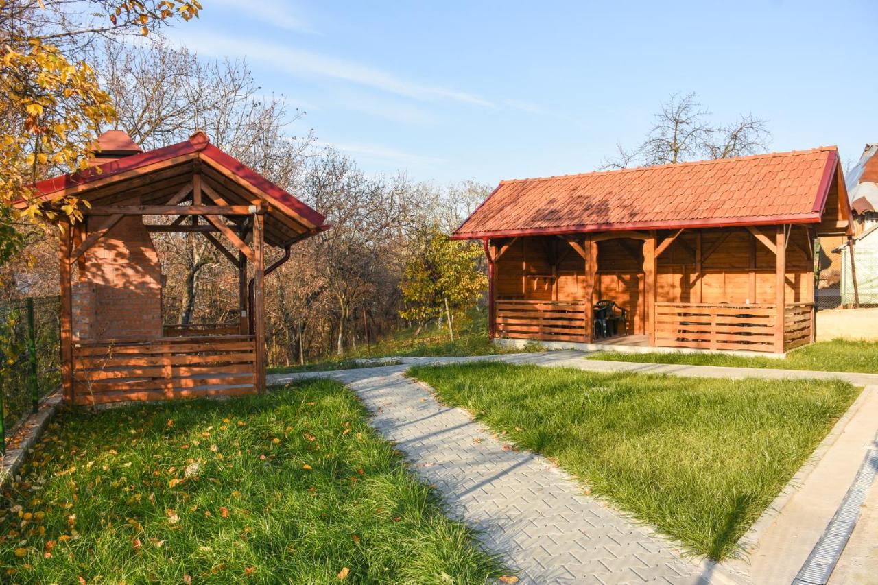 Tomis House Hotel Árgyasudvarhely Kültér fotó
