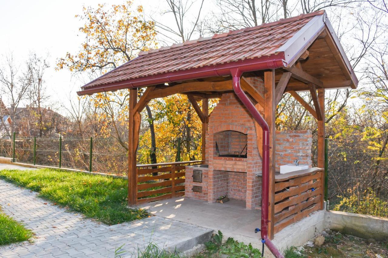 Tomis House Hotel Árgyasudvarhely Kültér fotó